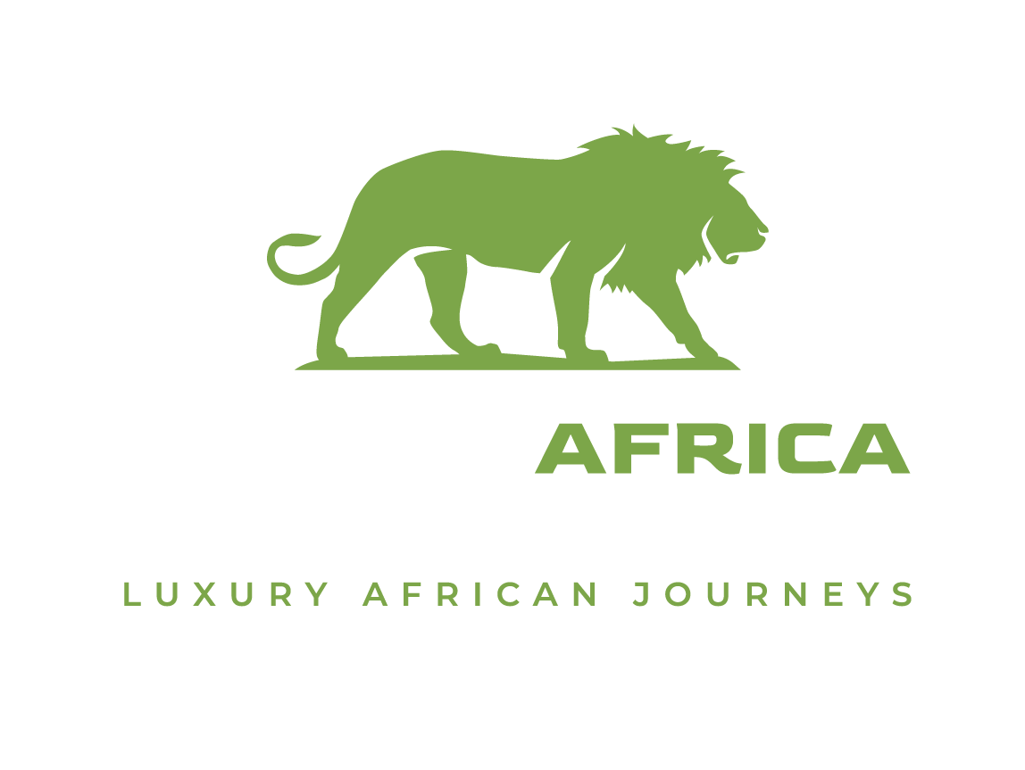 Cape Town & Safari Adventures
